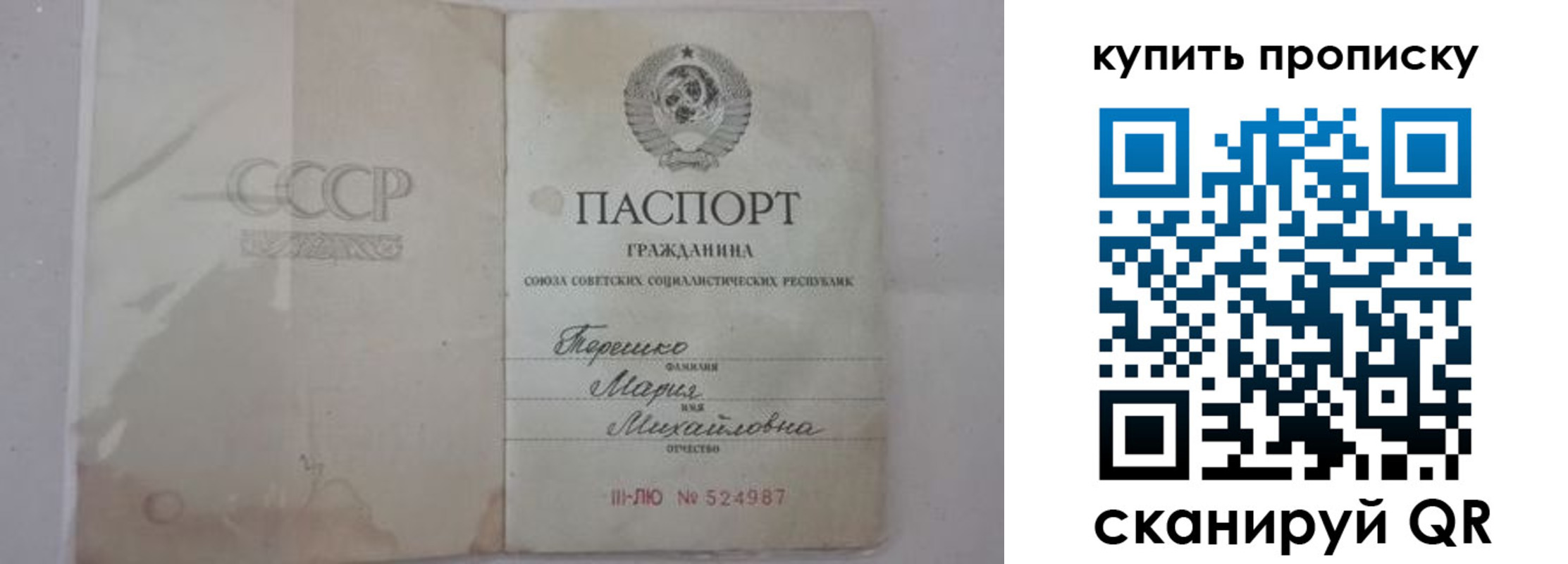 временная регистрация надежно в Владимирской области